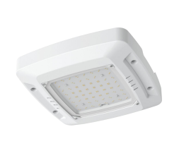 Tunable/Adjustable Canopy Light